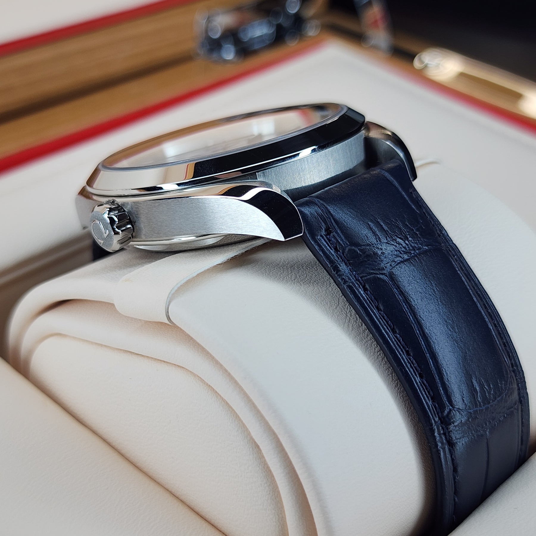 Omega Seamaster Aqua Terra 41mm lug view