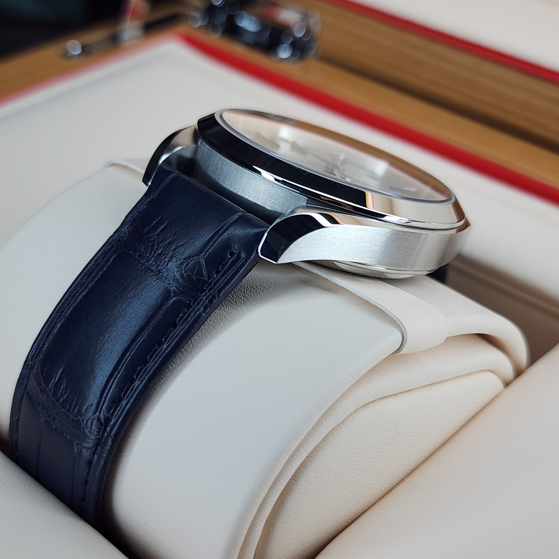Omega Seamaster Aqua Terra 41mm lug view