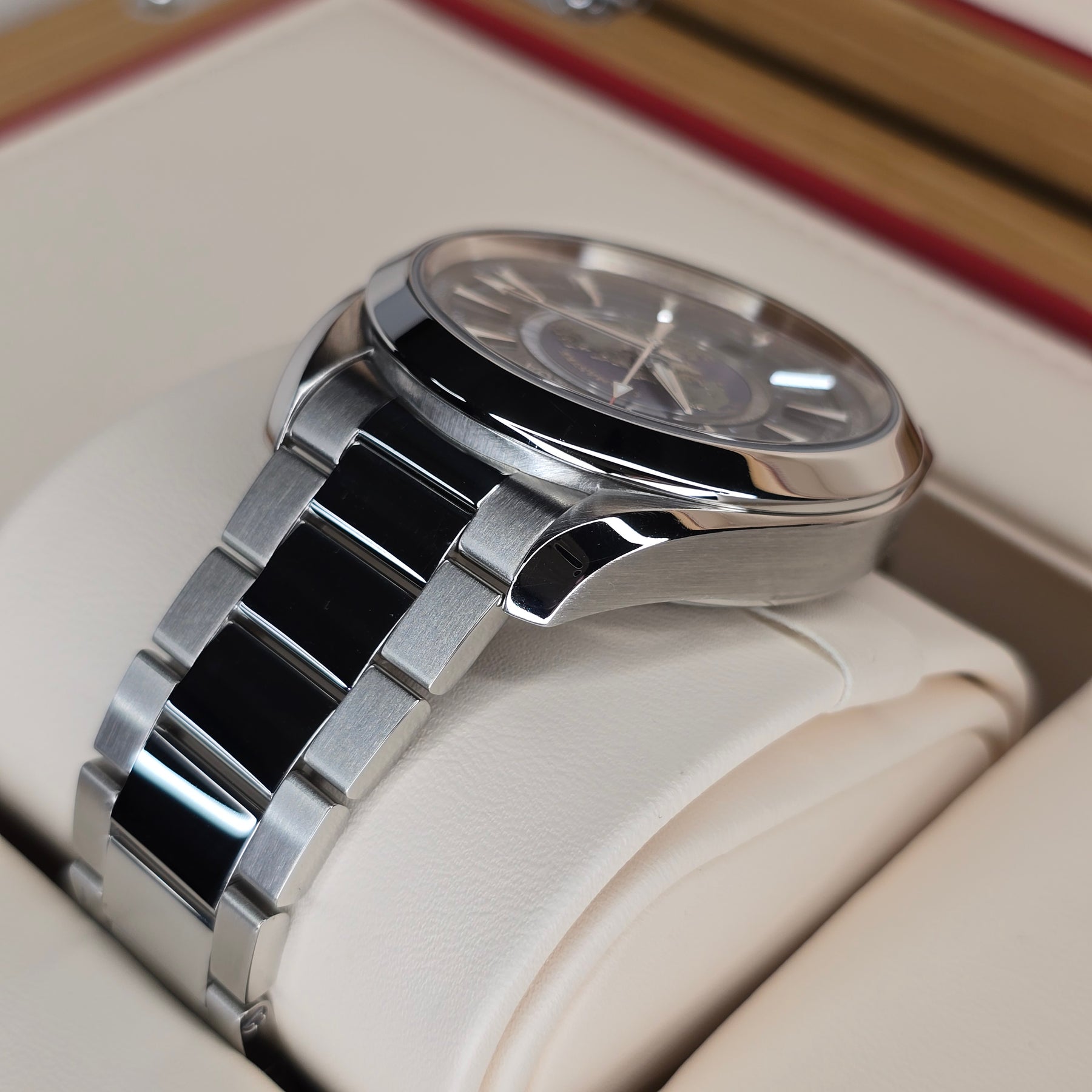 Omega Seamaster Aqua Terra Worldtimer case, bracelet view