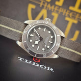 Tudor Black Bay Fifty-Eight 925 79010SG dial