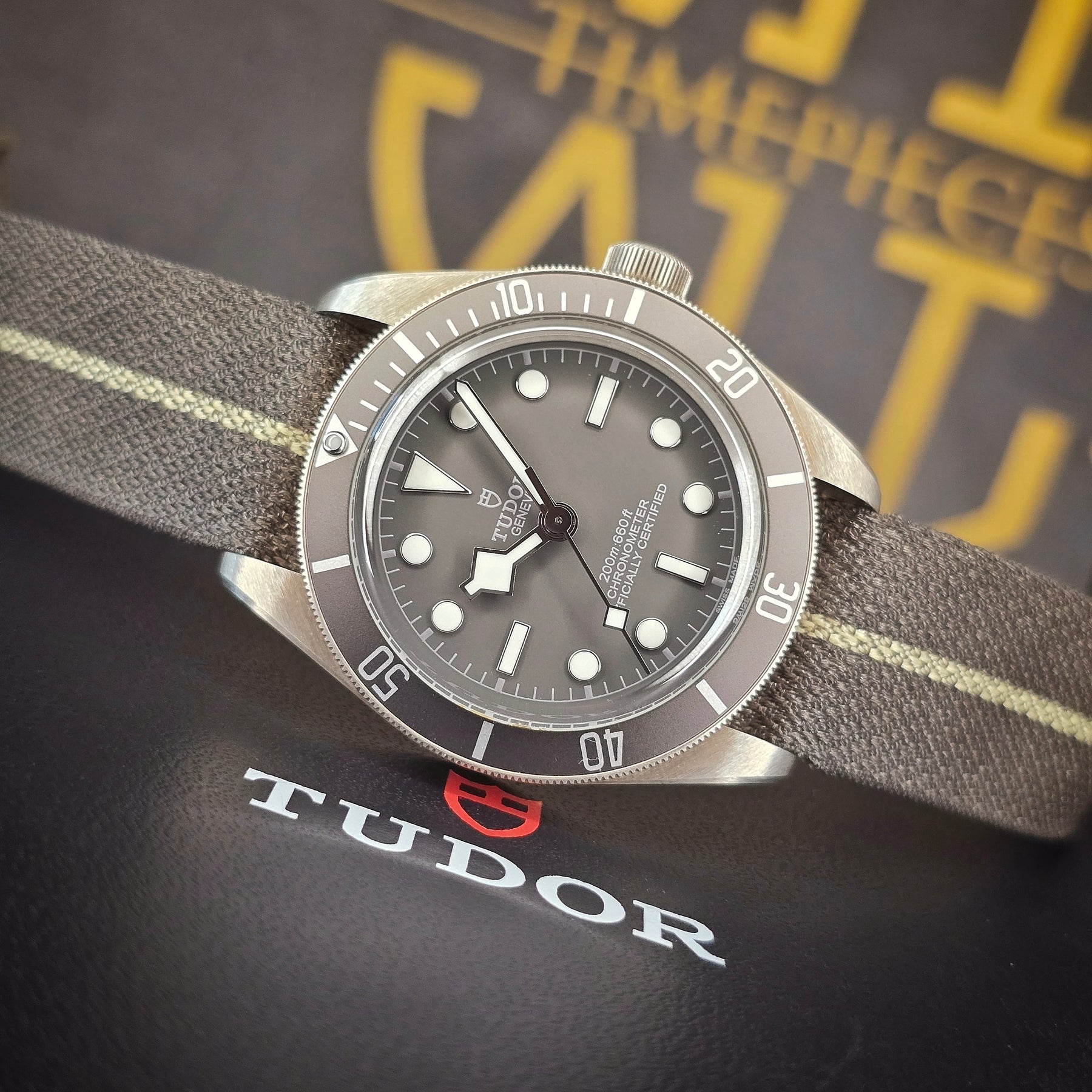 Tudor Black Bay Fifty-Eight 925 79010SG dial