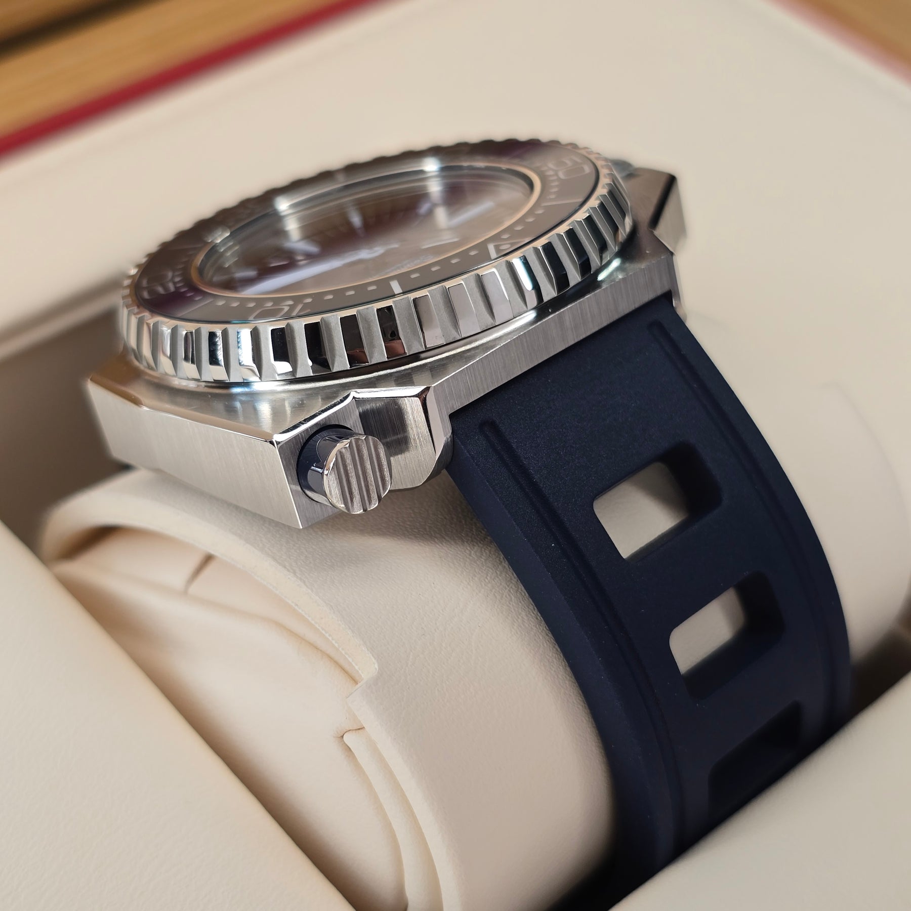 Omega Seamaster Ploprof 227.32.55.21.03.001  lug strap